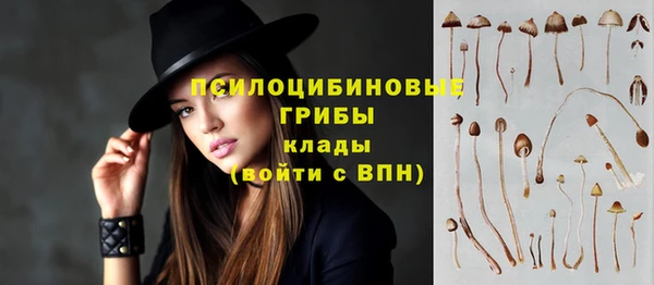 шишки Михайлов