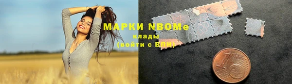 крисы Абаза