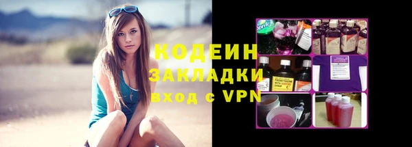крисы Абаза