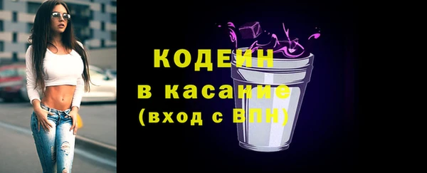 крисы Абаза