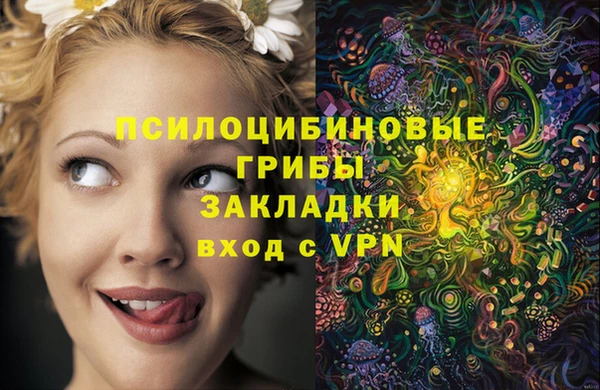 шишки Михайлов