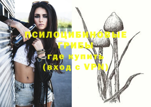 дживик Михайловск