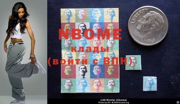 крисы Абаза