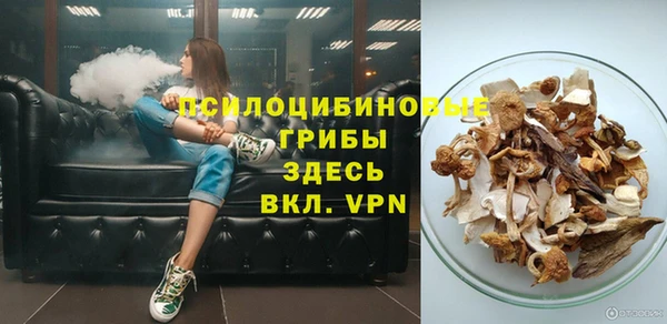 дживик Михайловск