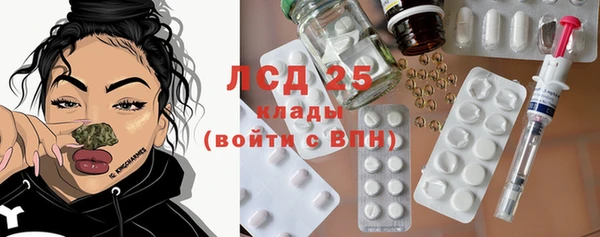 крисы Абаза